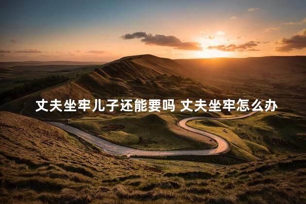 丈夫坐牢儿子还能要吗 丈夫坐牢怎么办理离婚